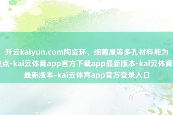 开云kaiyun.com陶瓷环、细菌屋等多孔材料能为硝化菌提供附着位点-kai云体育app官方下载app最新版本-kai云体育app官方登录入口