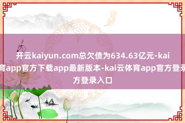 开云kaiyun.com总欠债为634.63亿元-kai云体育app官方下载app最新版本-kai云体育app官方登录入口